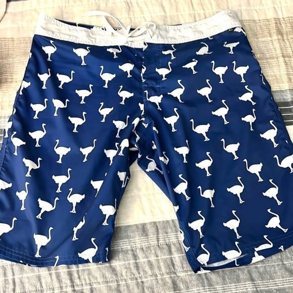 ⭐️Chivery,Chive-On,Swim Trunks, Excellent Condition,Fantastic Bird Print,Size 36 - Picture 2 of 9